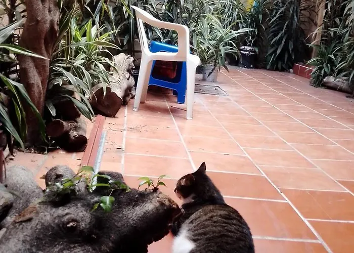 Ti En Naucalpan Homestay *