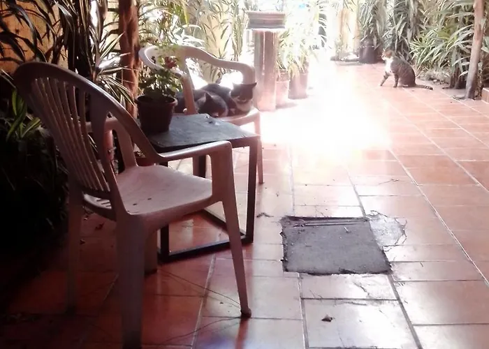 Ti En Naucalpan Homestay *